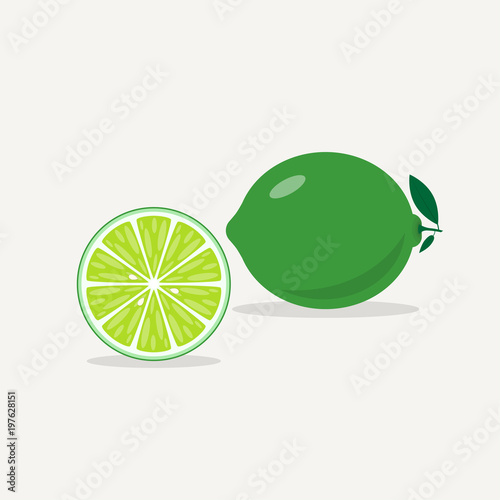Fresh whole lime green with leaves. Cut half of citrus. A piece with a juicy pulp. Texture of the lobule of fruit. Isolated vector illustration.