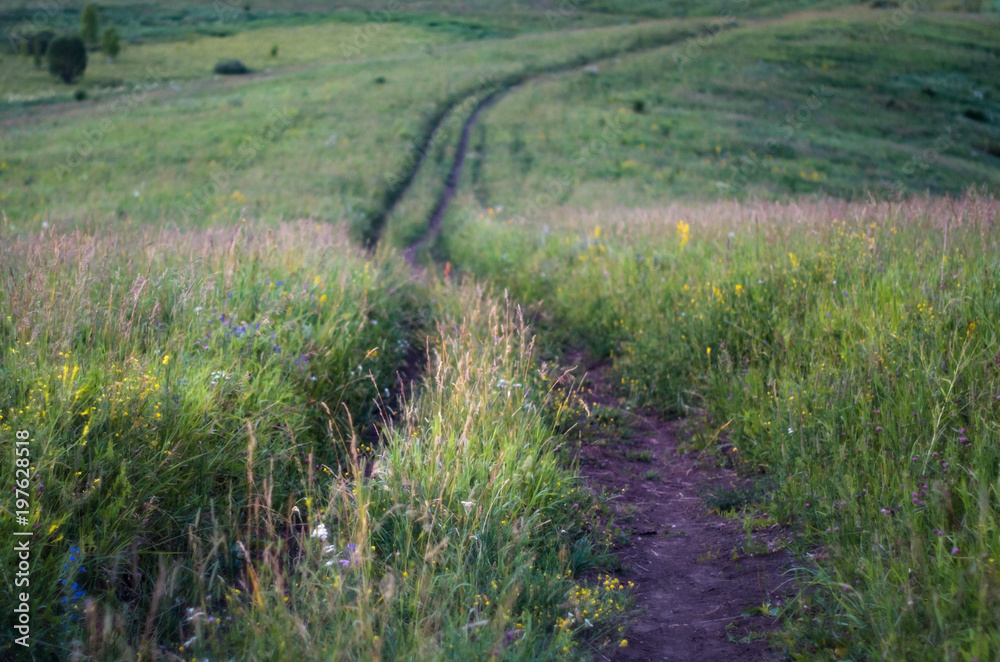 Downhill country dirt road winding in tall grass in Altai Mountains, Kazakhstan, at dusk Downhill country dirt road winding in tall grass in Altai Mountains, Kazakhstan, at dusk
