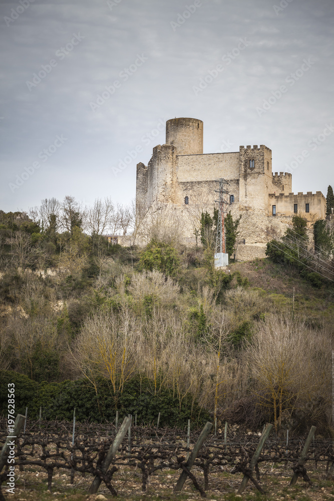 Castle and vineyards, Castillo de Castellet, Castellet i la Gornal, Penedes area,Catalonia,Spain.
