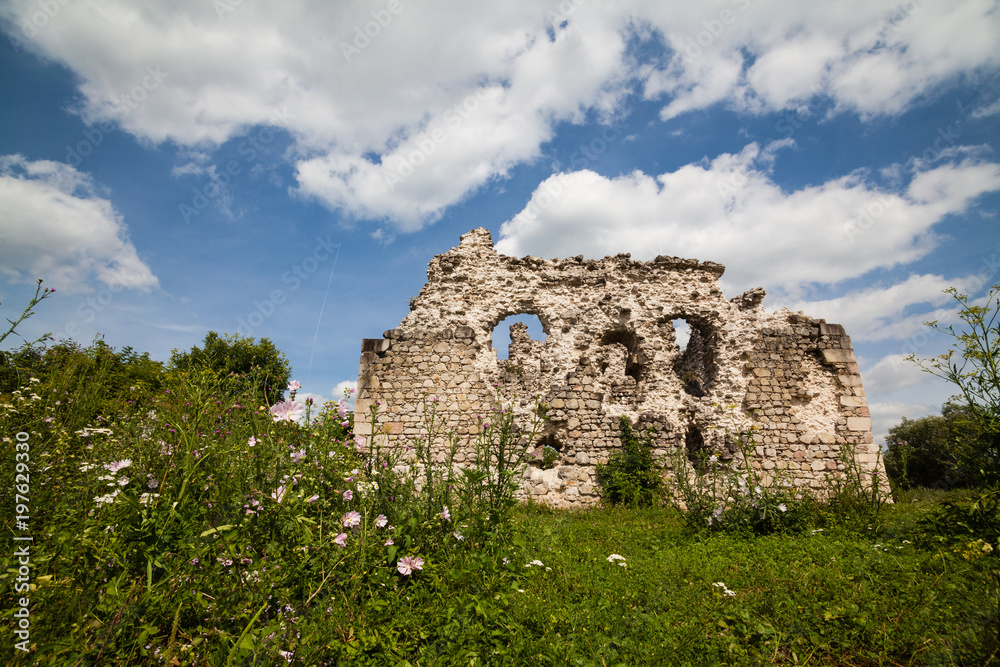 Ruins of the castle of the Knights Templar order (XIV century) Serednie village, Transcarpathian region