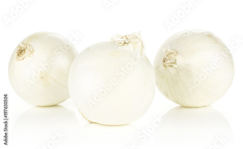 White onion three shiny and fresh pearls isolated on white background.
