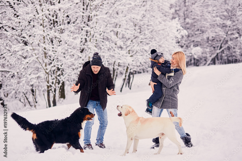 The mother,father and son playing with dogs The mother,father and son playing with dogs