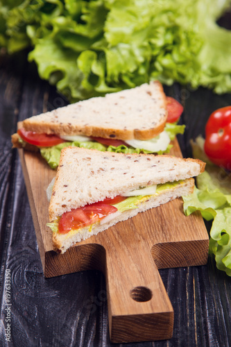 healthy vegetarian sandwich