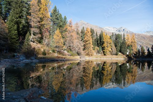 Fototapeta Naklejka Na Ścianę i Meble -  Bergsee im Herbst
