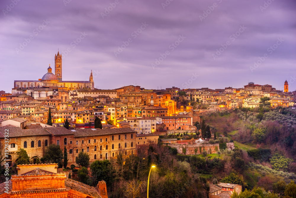 View of Siena from a panoramic terrace