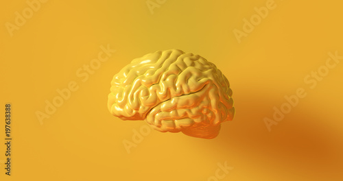Yellow Human brain Anatomical Model 3d illustration