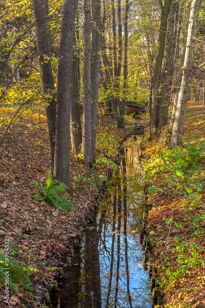 Obraz premium strumień w parku