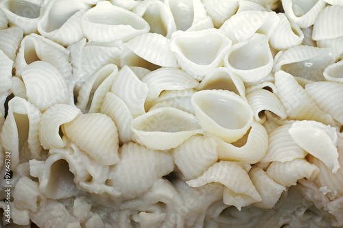 Macaroni close-up. Vermicelli. Background of food