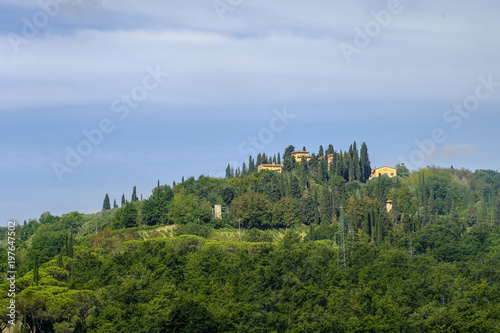 Landscape near San Gimignano (Tuscany)