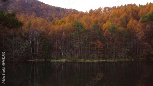 Autumn forest reflected in calm lake / Mishakaike pond	 photo