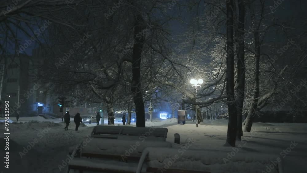 Group of people goes under snow-covered trees, one person pulls a branch and the snow falls on the crowd. Snowfall in the city at night. Group of people goes under snow-covered trees, one person pulls a branch and the snow falls on the crowd. Snowfall in the city at night.