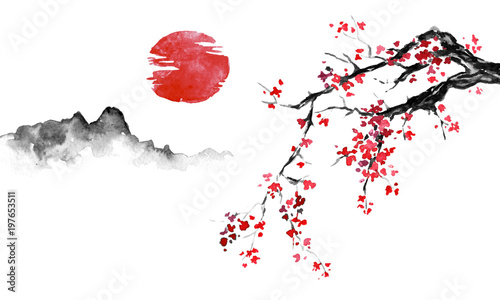 Japan traditional sumi-e painting. Indian ink illustration. Japanese picture. Sakura, sun and mountain photo