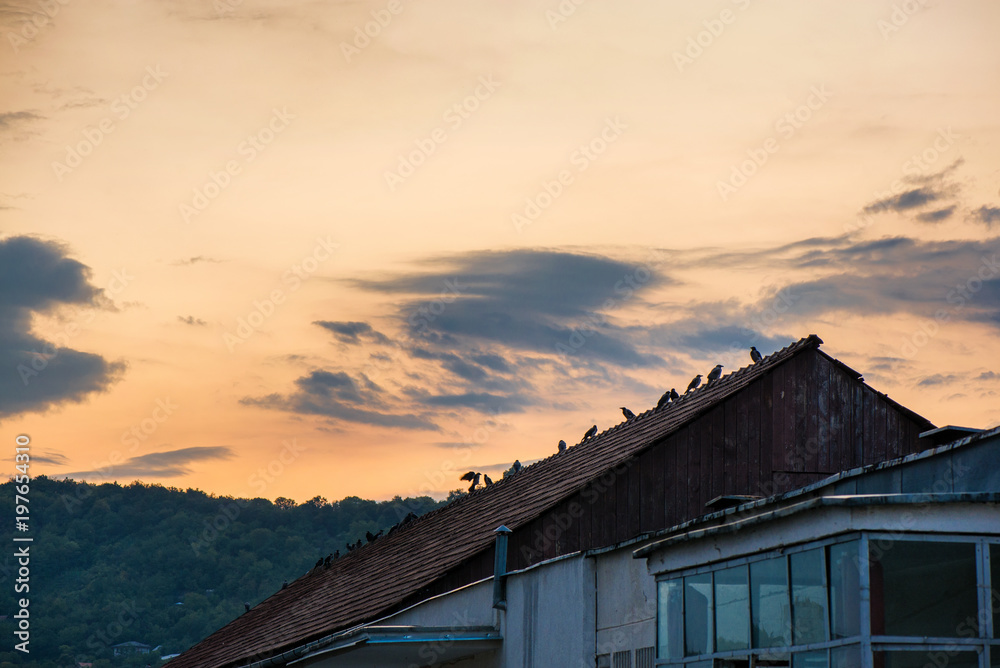 Birds sitting on house roof on romantic sunset background. Storm is coming. Mountain village in the background