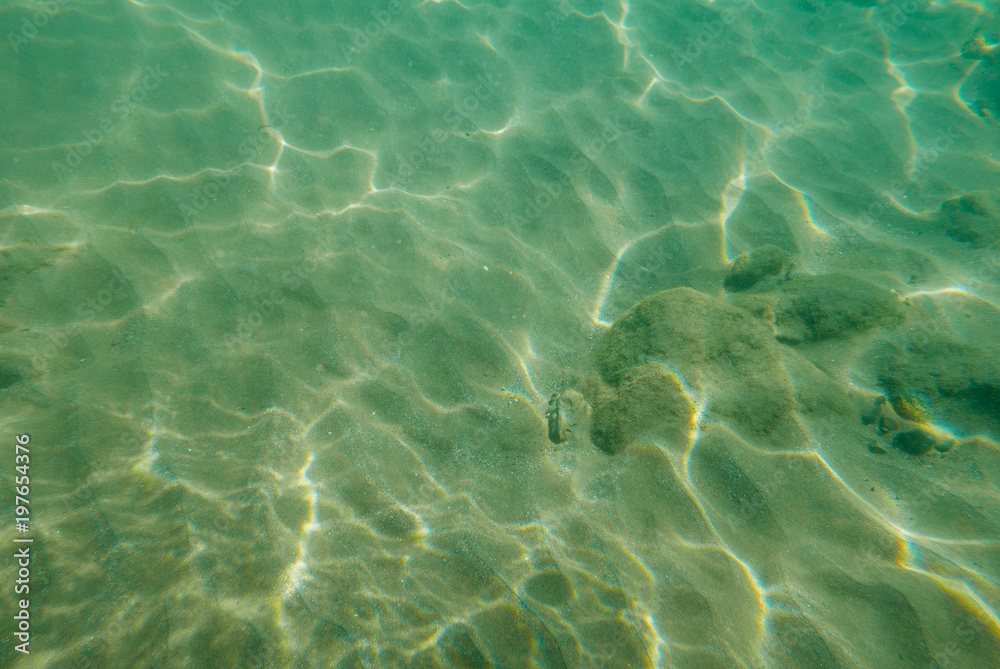 Fototapeta premium Green underwater background.
