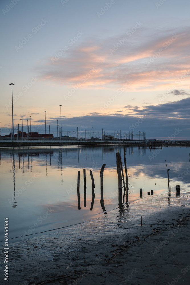 Wooden Poles and Birds at Sunset: Reflection in Water
