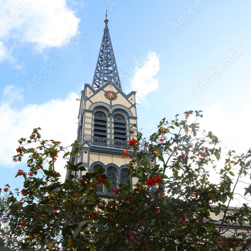 The beautiful tower of St Louis cathedral in Fort-de-France (Martinique) with red flowering flame tree in front