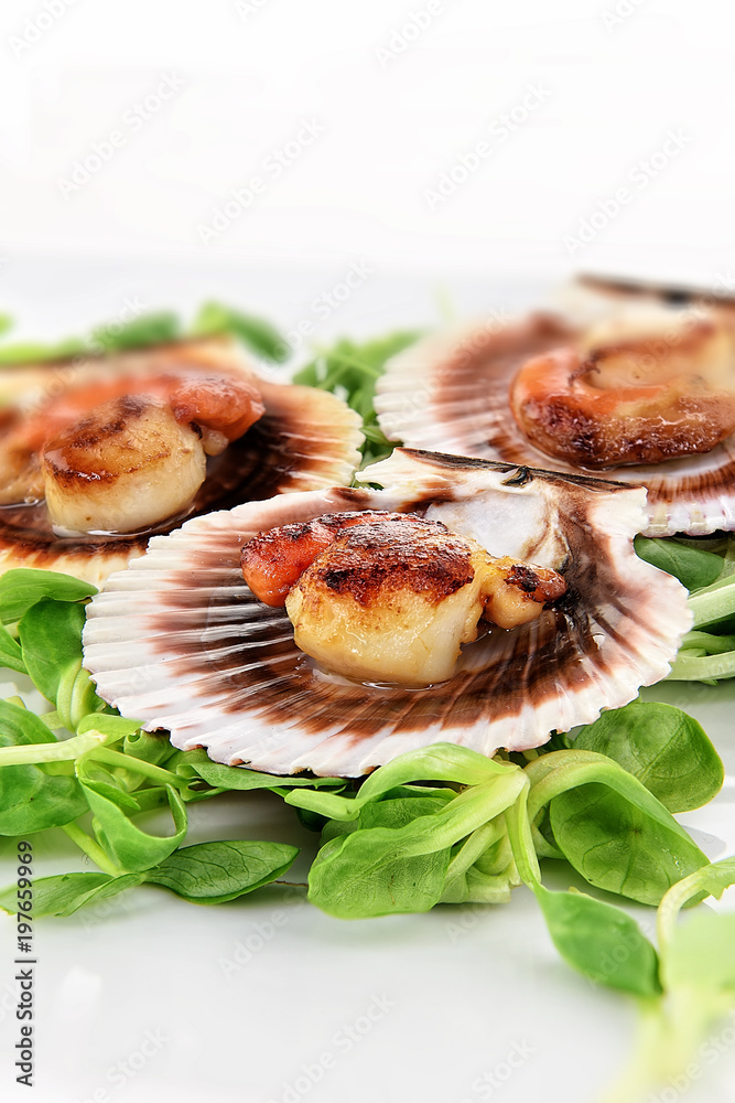 Grilled King Scallops Grilled King Scallops