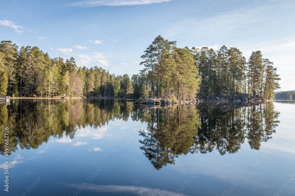 Trees on island in a beautiful Scandinavian lake in summer 
