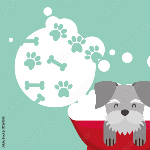 dog in bath grooming bubbles paw bone love pet domestic vector illustration