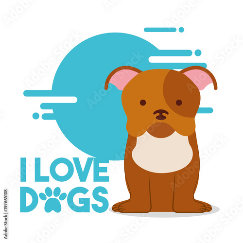 love dog sitting pet domestic animal vector illustration