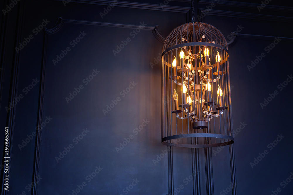Bird Cage Lamp Hanging on Top. Light bulb incandescent vintage lamp edison  hanging decorated interior room. low key Stock Photo | Adobe Stock