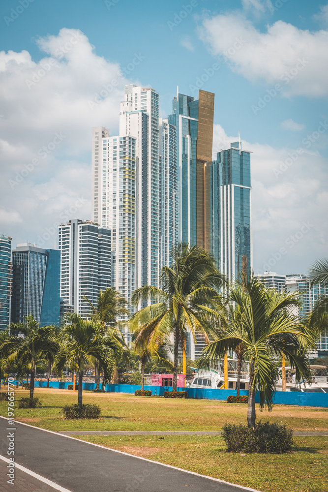 skyscaper buildings and palm trees - Panama City skyscaper buildings and palm trees - Panama City