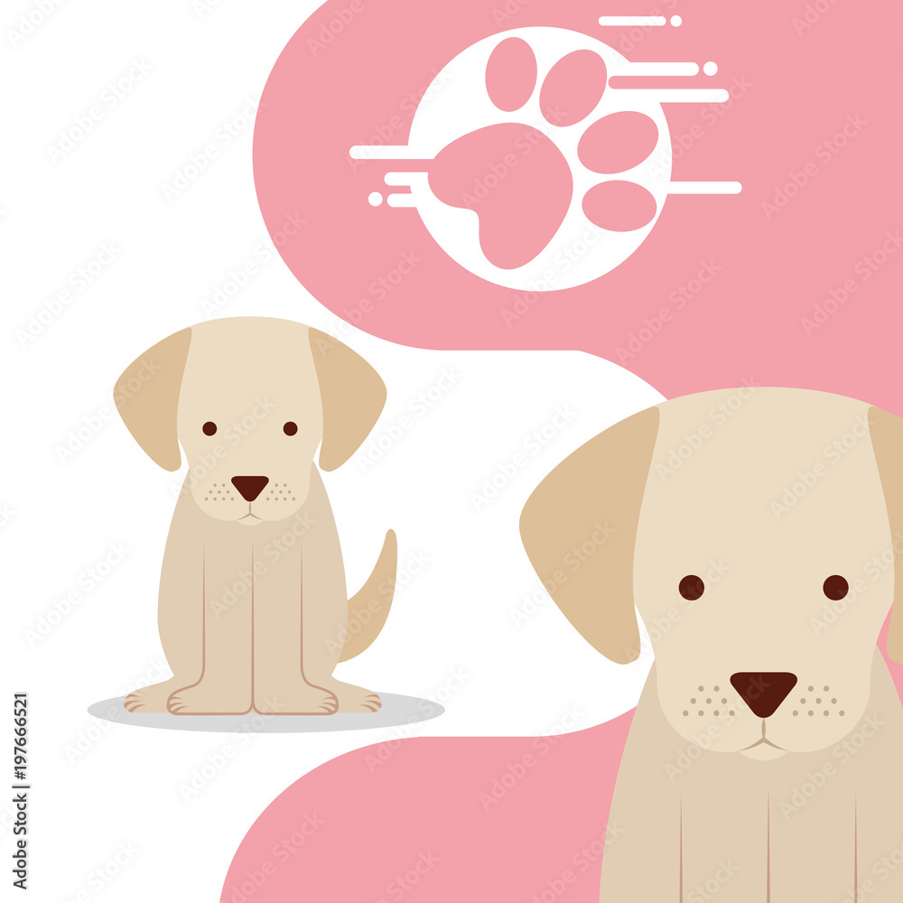 cute pair dogs sitting and paw print vector illustration cute pair dogs sitting and paw print vector illustration