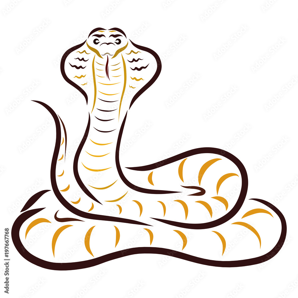 Fototapeta premium Cobra, drawing with flowing lines, pattern
