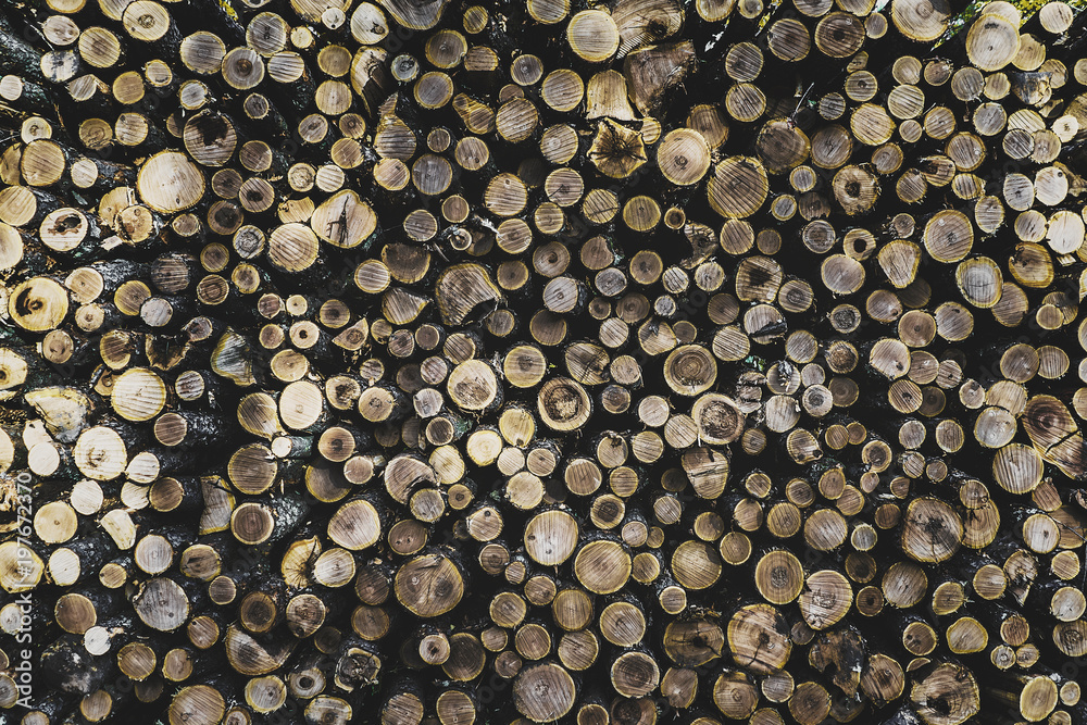 Stack of logs at lumber industry Stack of logs at lumber industry