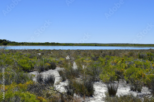 Australia, Botany, Lake Thetis photo