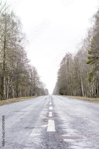 Old asphalt road. Asphalt road and spring forest