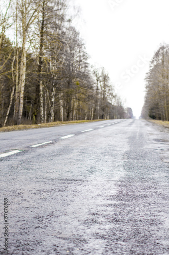 Old asphalt road. Asphalt road and spring forest