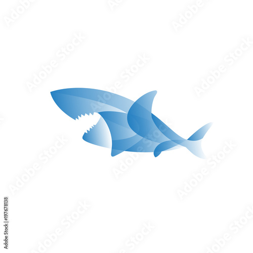 shark color logo