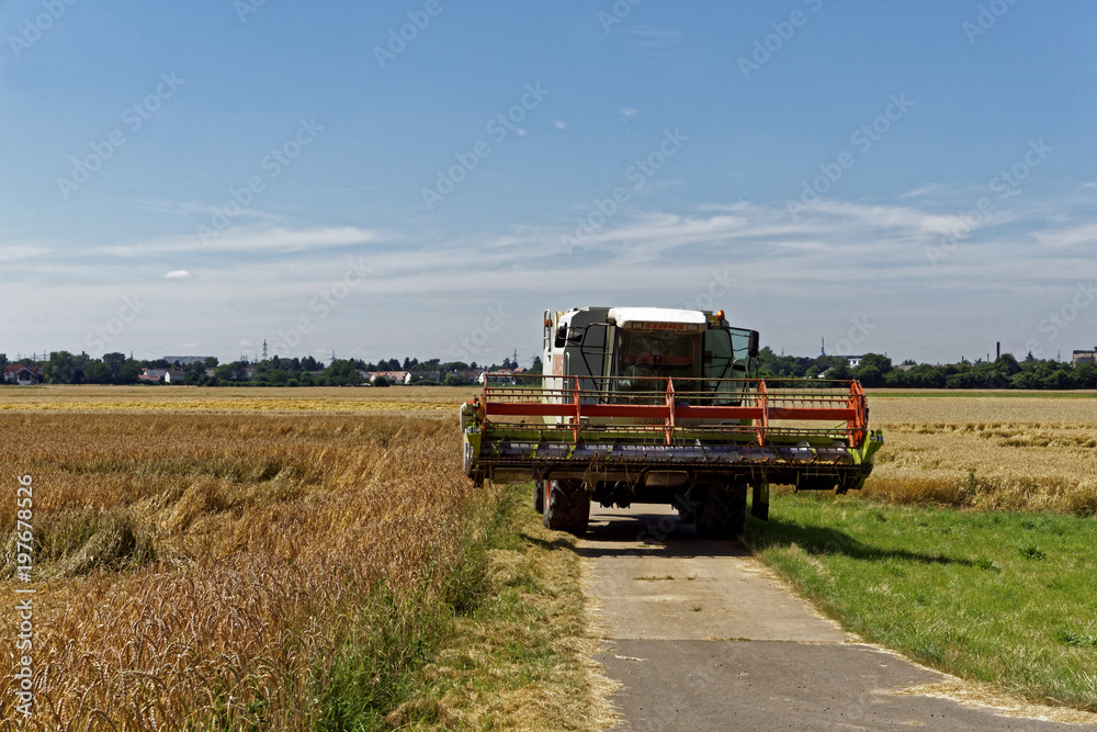 tractor on farmland on a sunny day