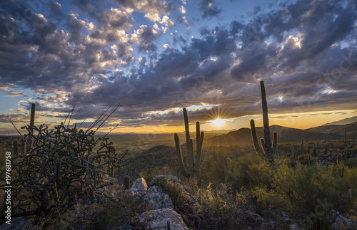 Sunset in the Sonoran Desert of Arizona