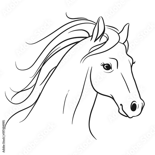 Horse head with flowing mane portrait side view, pen and ink style black and white simple line drawing vector illustration isolated on white background.