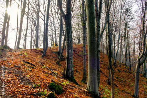 Autumn in the mountains