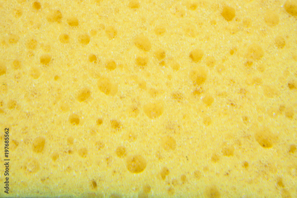 Yellow sponge texture background