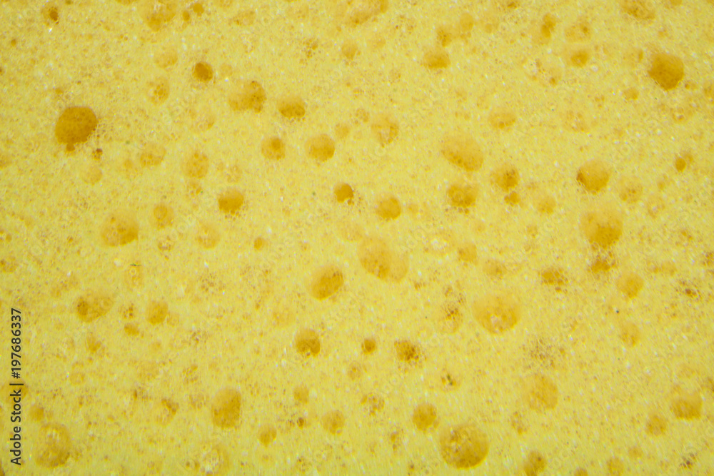 Yellow sponge texture background