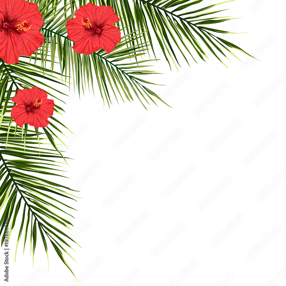 Tropical flowers and leaves - border of fresh red hibiscus flowers and ...