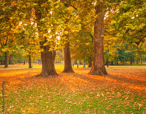 Colorful autumnal scene
