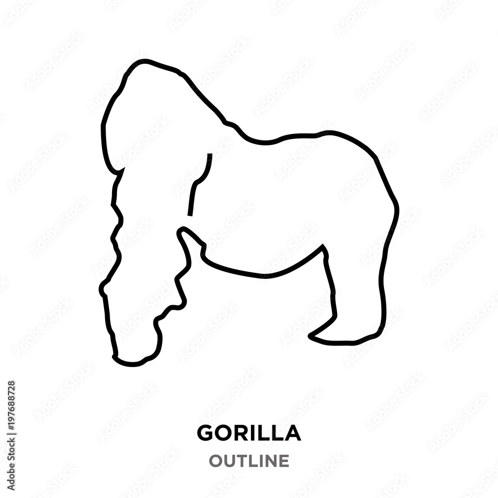 gorilla outline on white background gorilla outline on white background