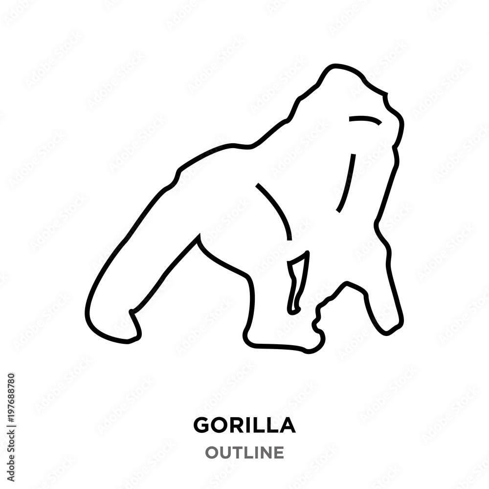 gorilla outline on white background gorilla outline on white background