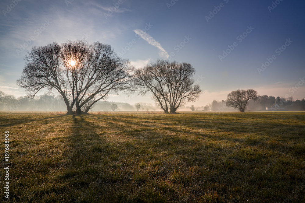 Fototapeta premium Sonnenaufgang mit Morgennebel