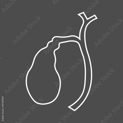 Illustration of Human gallbladder anatomy line icon.