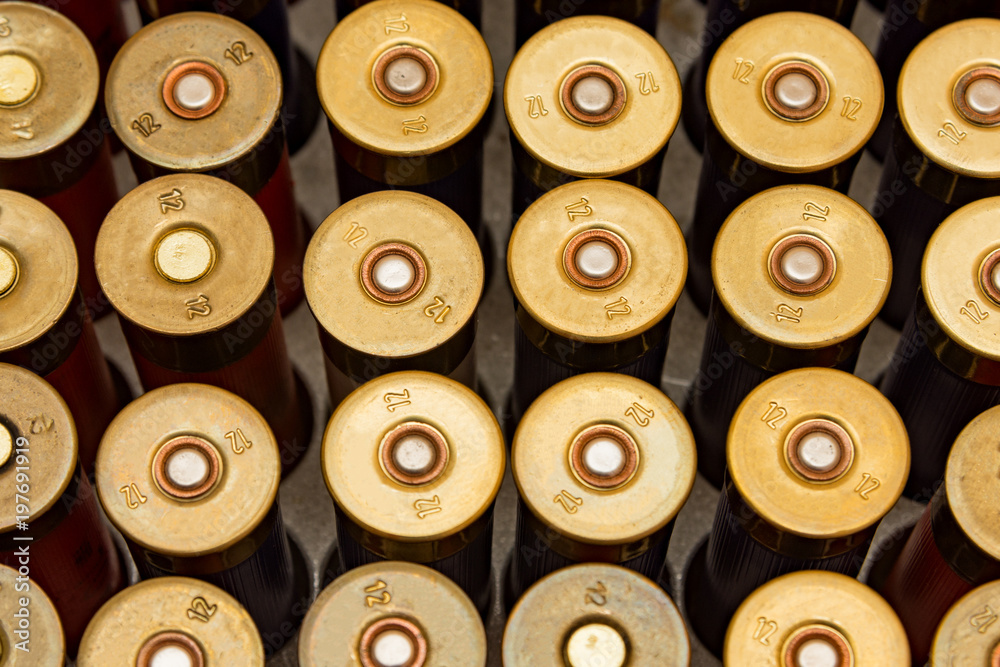 12 gauge plastic cartridge close-up. Background texture combat shells. The concept of hunting and crime 12 gauge plastic cartridge close-up. Background texture combat shells. The concept of hunting and crime