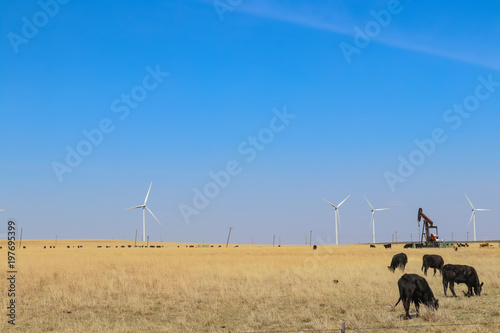 Wind turbines and oil well and grazing cattle all in one field against a blue sky