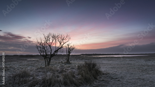 cold sunrise