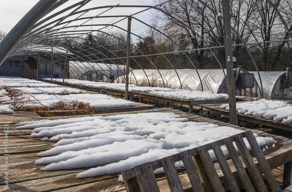 commercial greenhouse in winter