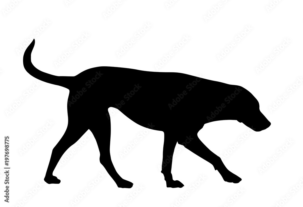 Naklejka premium Silhouette of a dog
